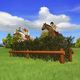 Image for article titled My Horse and Me: Riding For Gold Could Drive Me to Violence